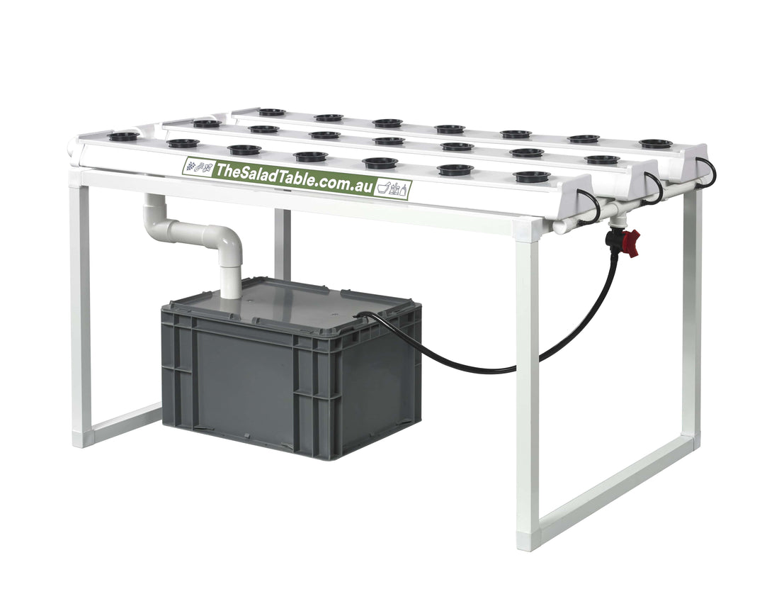 The Small Salad Table - PRE-ORDER