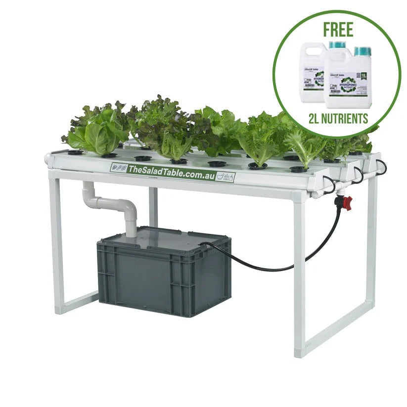 The Small Salad Table - PRE-ORDER