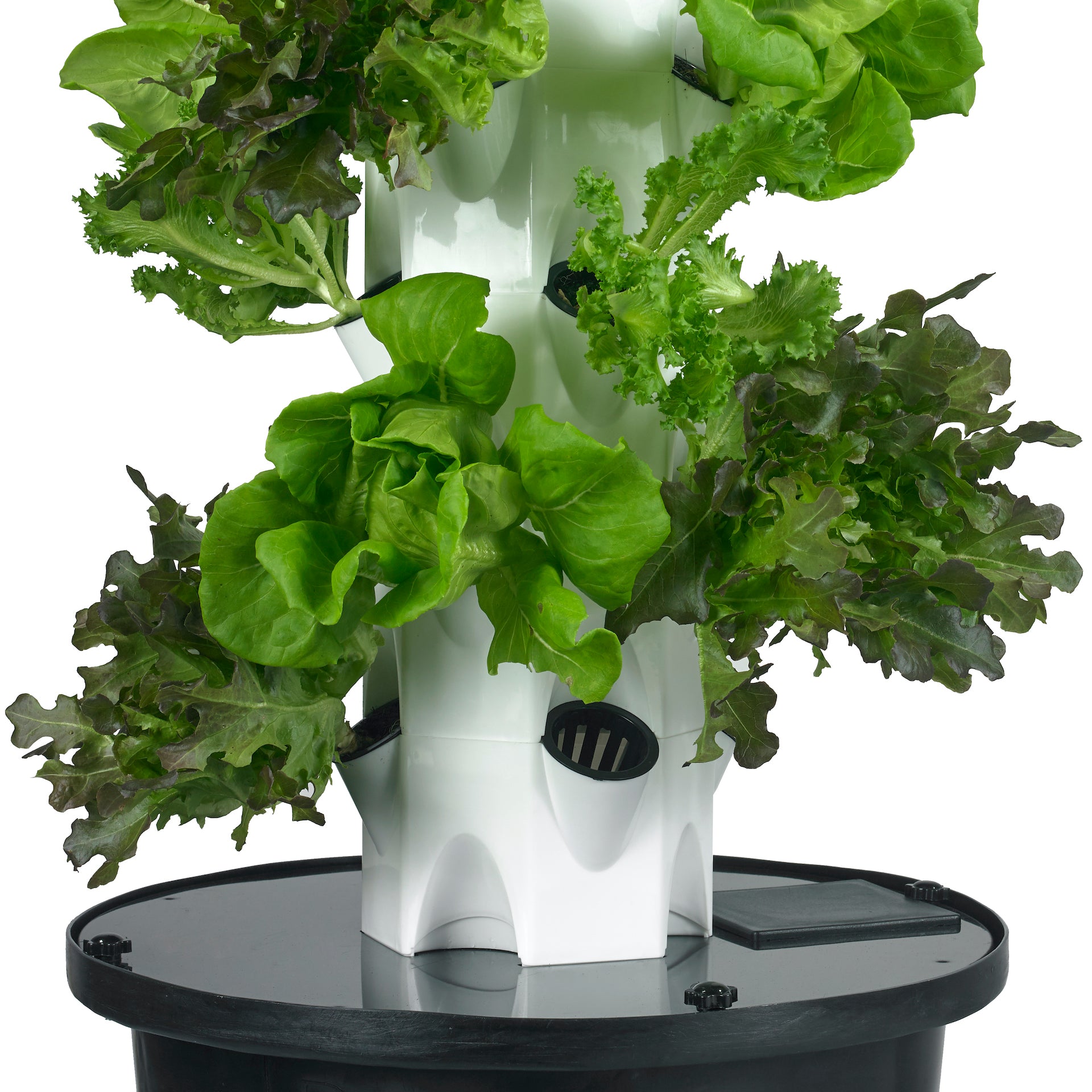 The Salad Tower