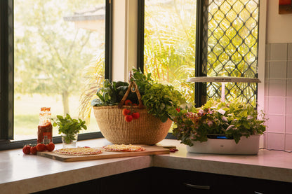 The Kitchen Garden