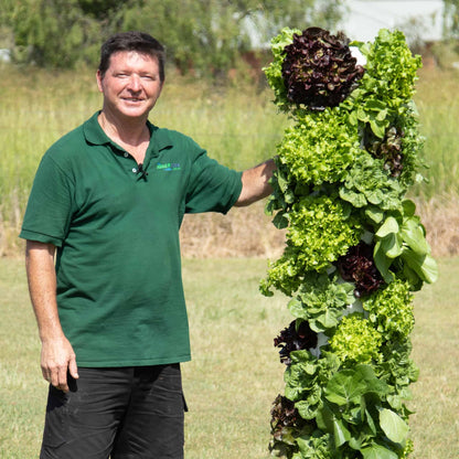 The Salad Tower